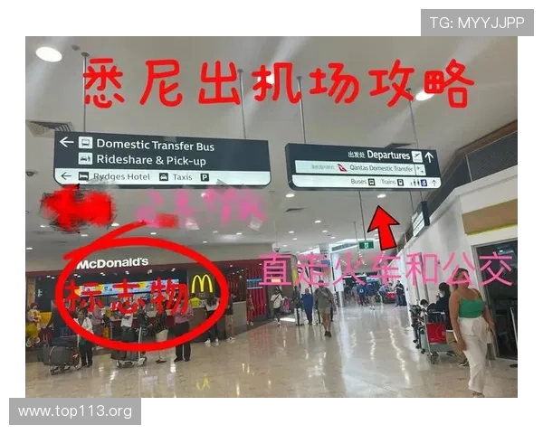 全面介绍悉尼国际机场的交通、设施与旅游指南